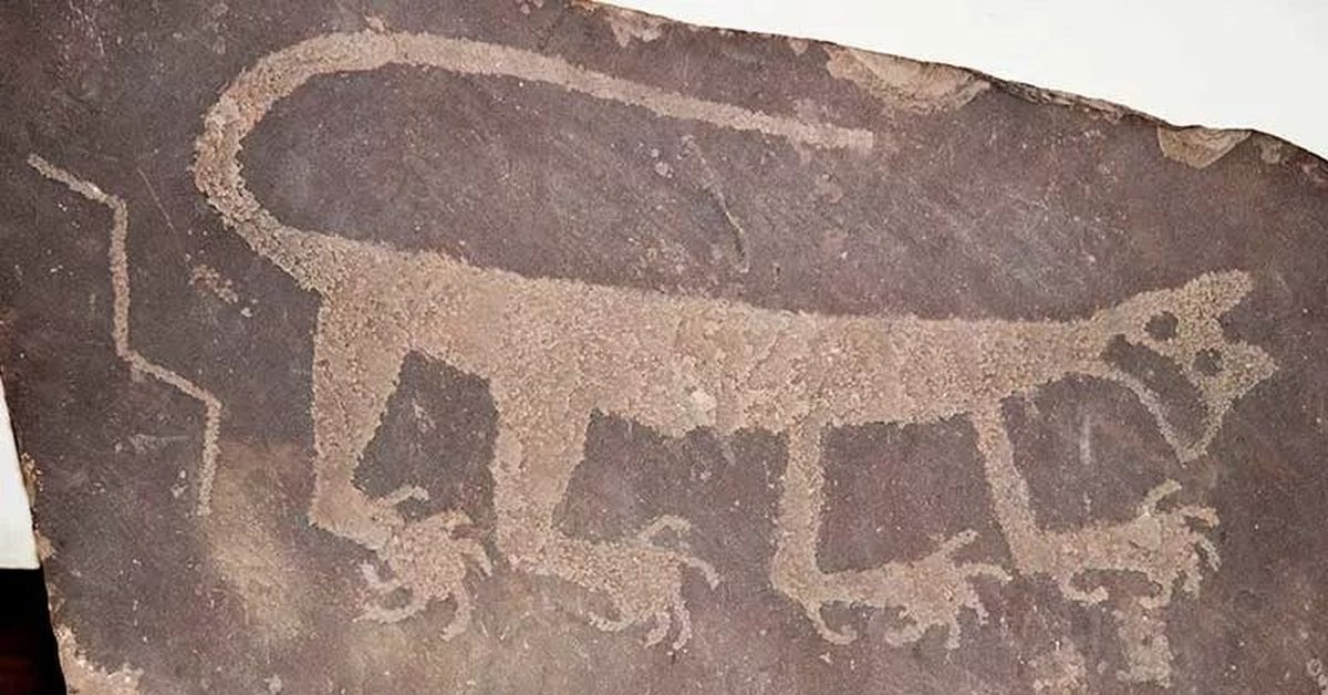 Кошки