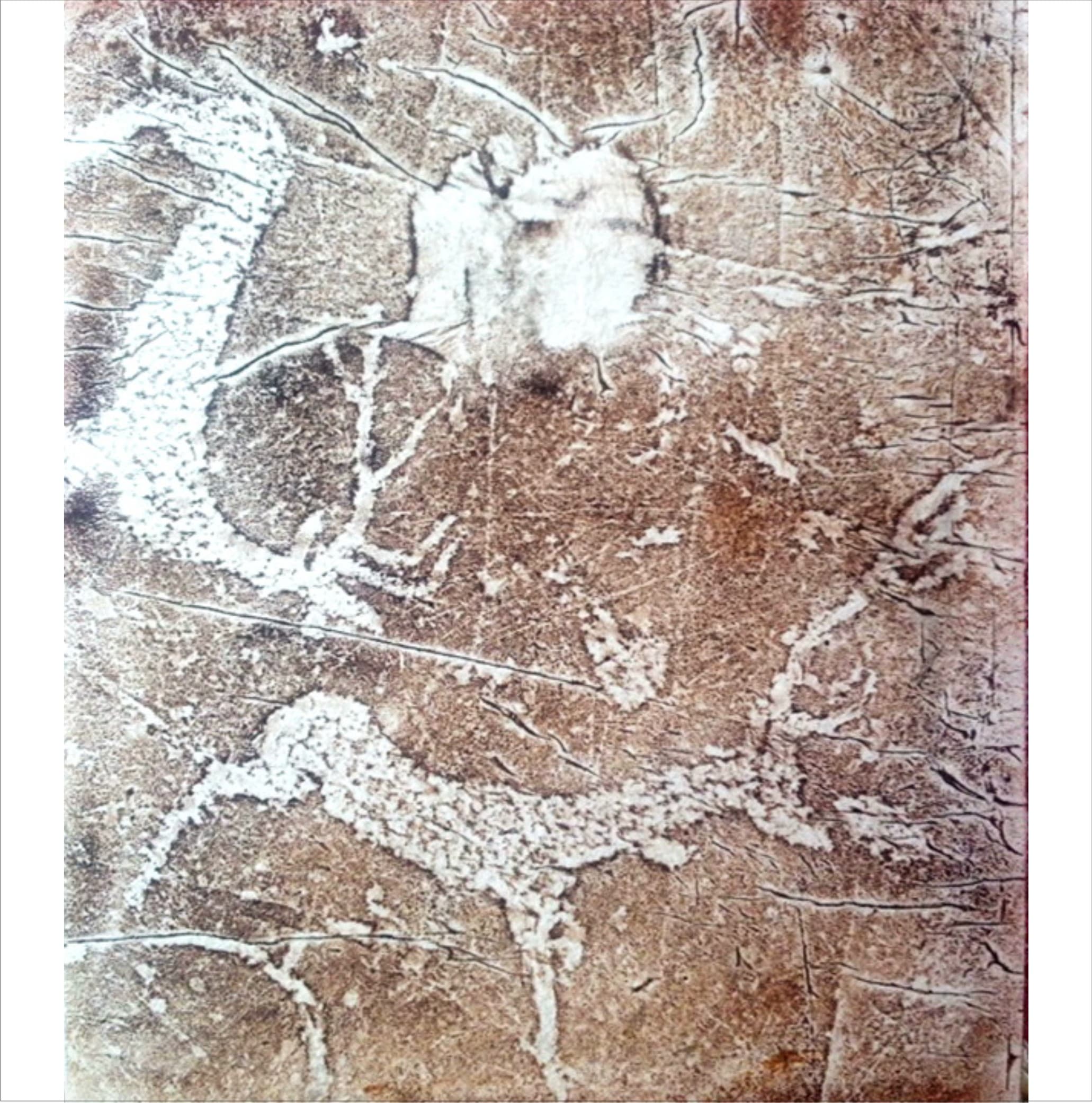 26
