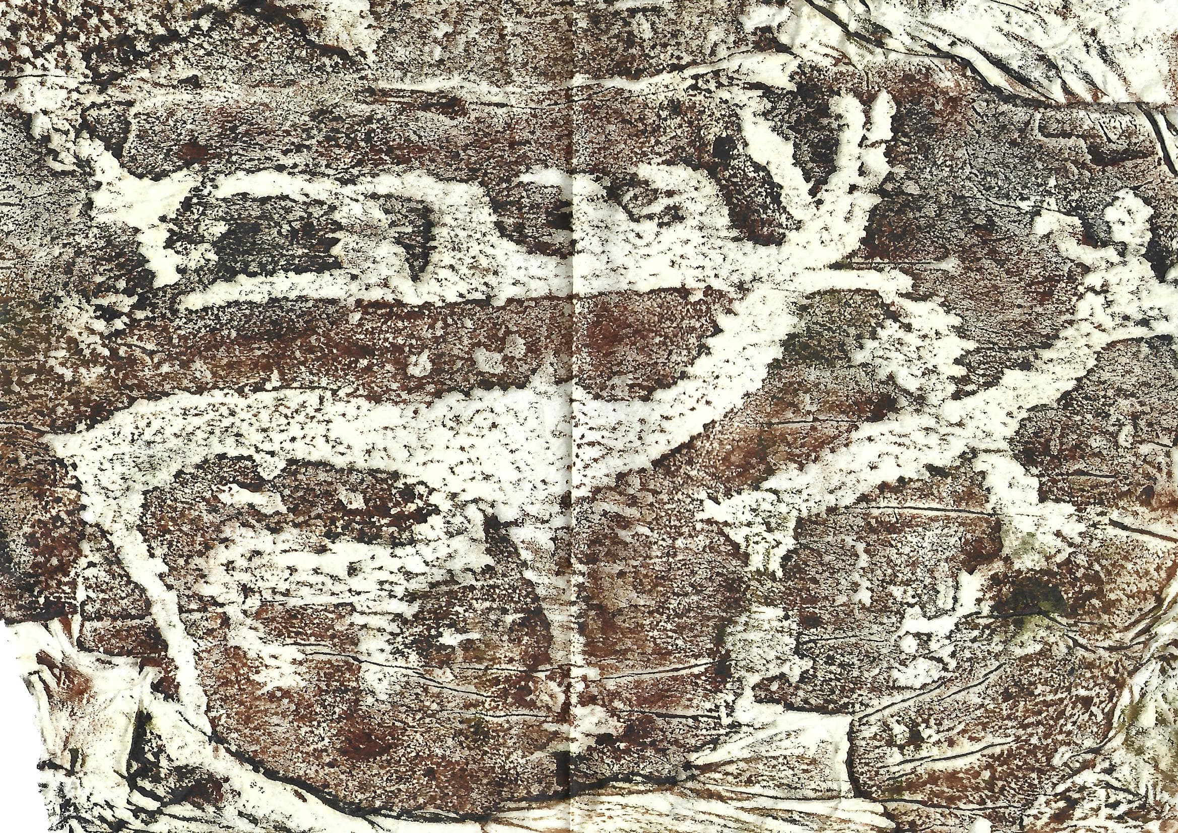 55